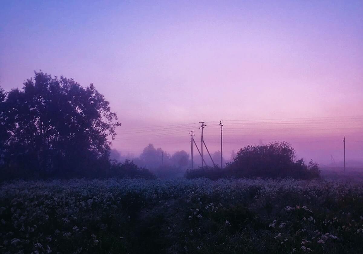 又一大佬跳楼了！